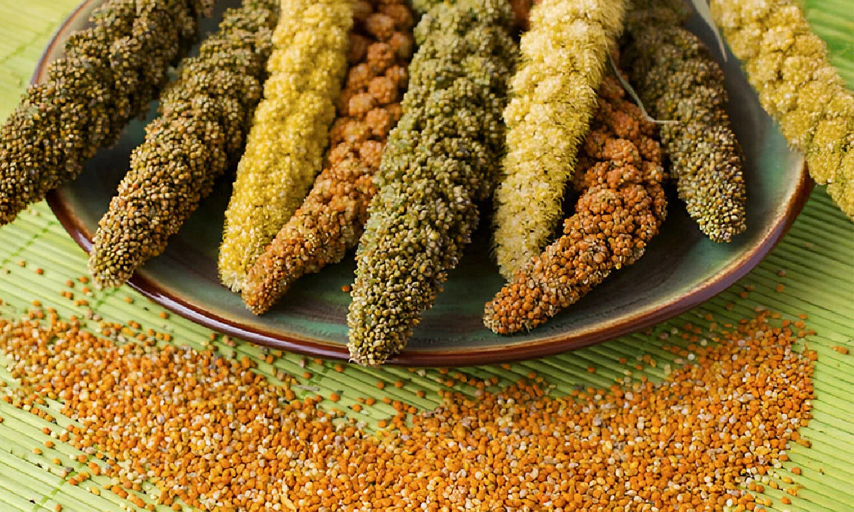 Millet Nutrition
