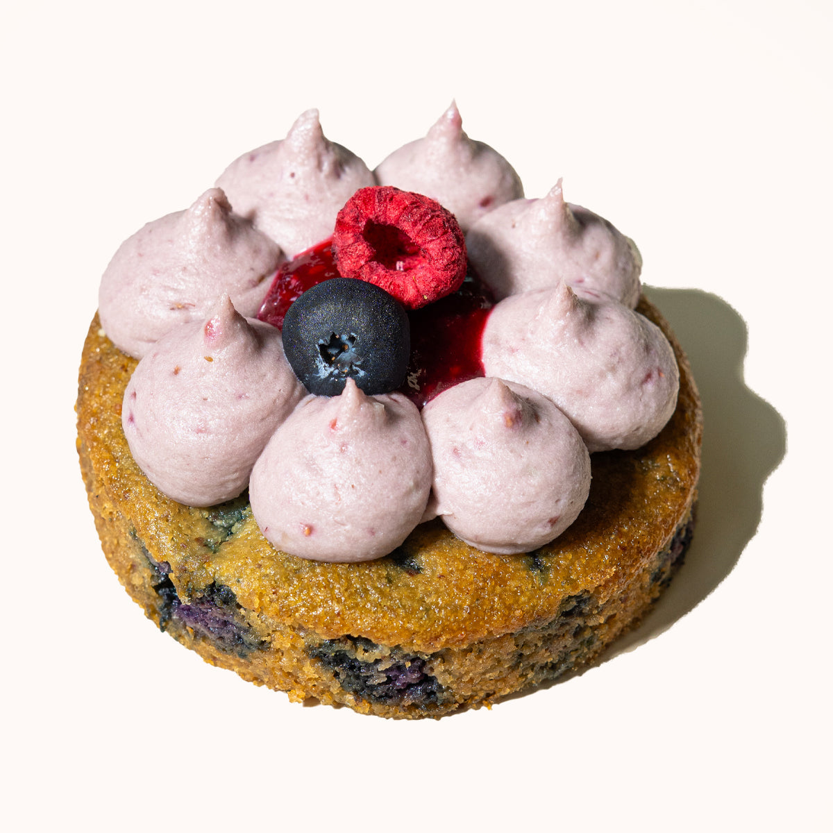 Lactose & Dairy Free