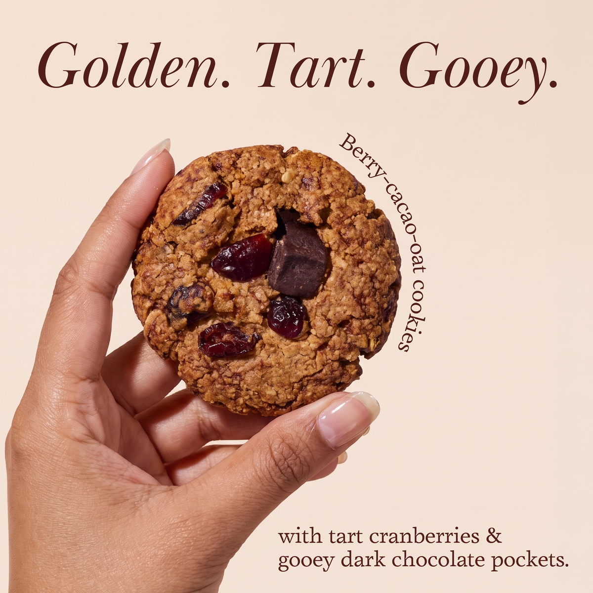 Berry Cacao Oat Cookie